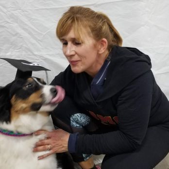 MSquared Dog Training - Pet Training Near Me - Union Bridge, Maryland MSquared Dog Training - Pet Training Near Me - Union Bridge, Maryland