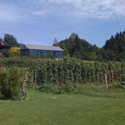 Gasthaus Höhenwirt