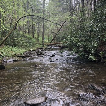 Emery Creek Trail - Hiking Near Me - Chatsworth, Georgia