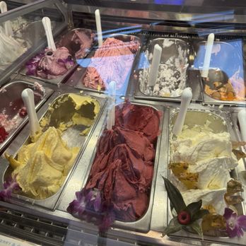 Frost Gelato - Gelato Near Me - Austin, Texas Frost Gelato - Gelato Near Me - Austin, Texas