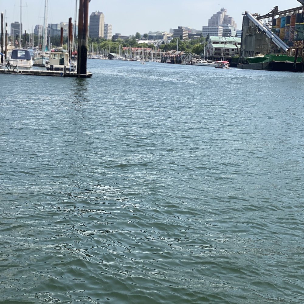 Aquabus - Ferries Near Me - Vancouver, British Columbia Aquabus - Ferries Near Me - Vancouver, British Columbia