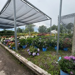 Minor's Garden Center