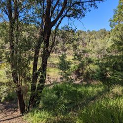 Neville Lawrie Reserve