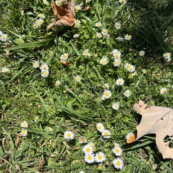 Centennial Park - Parks Near Me - Arroyo Grande, California