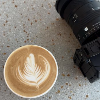 ivy. Coffee Shop - The Latte - Coffee & Tea Near Me - Toronto, Ontario