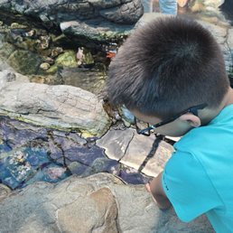 The touch tank is a big hit everytime!