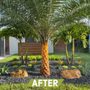 Photo of Majabe Property Maintenance