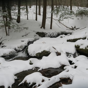 Pittsfield State Forest - Parks Near Me - Pittsfield, Massachusetts