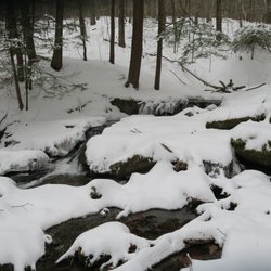 Pittsfield State Forest