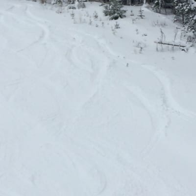 Blacktail Mountain Ski Area by null