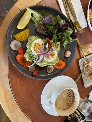Baby Birds Cafe by null