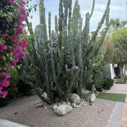 Outside Outside