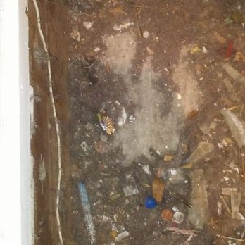 The Duct Cleaning Pro - How clean is the air in your home? For a healthy home duct cleaning is very important. - Air Duct Cleaning Near Me