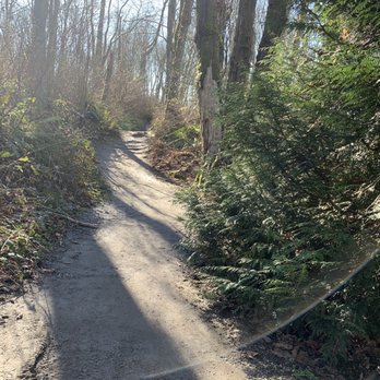 Discovery Park - Nice packed trail - Parks Near Me - Seattle, Washington