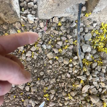 Brothers Gonzalez Landscaping - Cut power wire to water softener - Landscaping Near Me Brothers Gonzalez Landscaping - Cut power wire to water softener - Landscaping Near Me