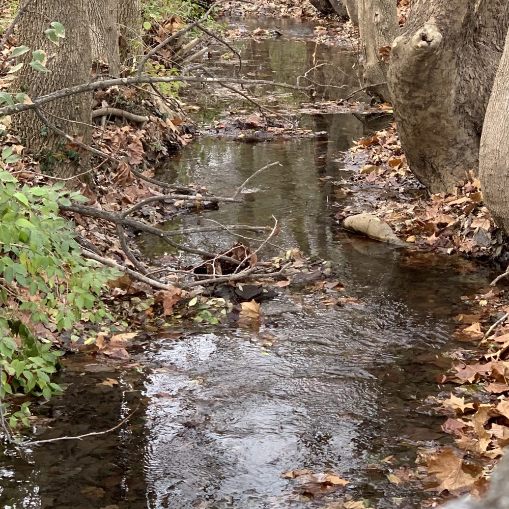Anchorage Trail - Hiking Near Me - Anchorage, Kentucky