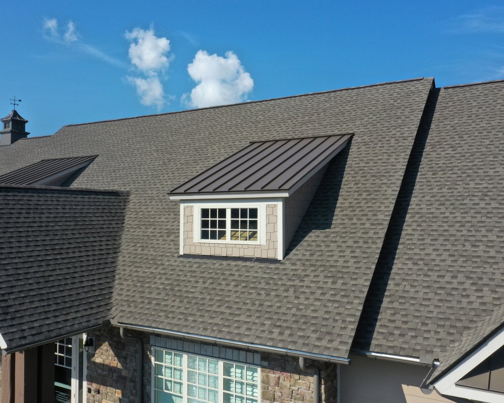 Slide of Wiener Dog Roofing