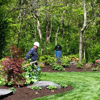 1. Chris's Tree Service