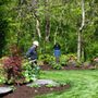 Chris's Tree Service