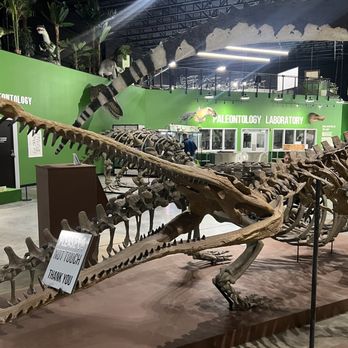 Indiana Dinosaur Museum - Very small portion of displays - Children's Museums Near Me - South Bend, Indiana