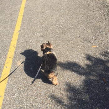 Waggin Tails Inn - She even took him on special walks that he loves so much! - Dog Walkers Near Me - Baton Rouge, Louisiana Waggin Tails Inn - She even took him on special walks that he loves so much! - Dog Walkers Near Me - Baton Rouge, Louisiana