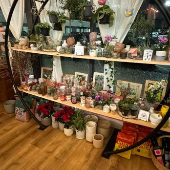 Sungrove Blossoms - Florists Near Me - Rochester, New York