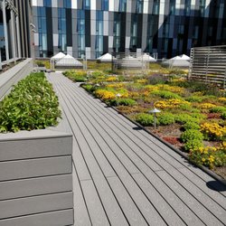 Cooper Koo Family YMCA - Green roof