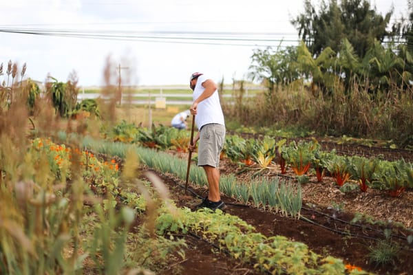 Kahuku Farms by null