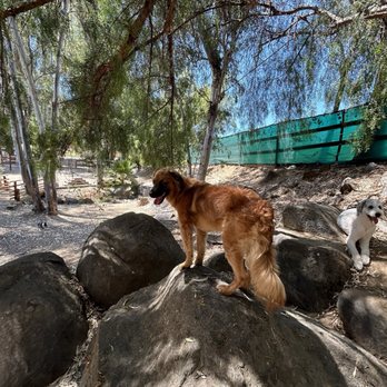 TailWag Resorts - Pet Training Near Me - Escondido, California TailWag Resorts - Pet Training Near Me - Escondido, California
