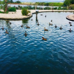 Castle Espie