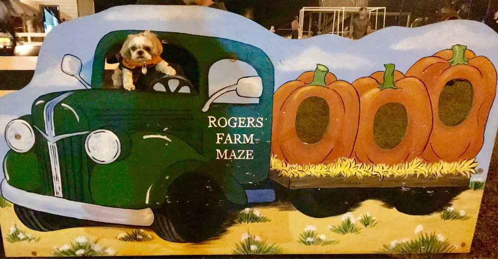 Crossroads Farm & Apiary - beekeeping in Gainesville, FL