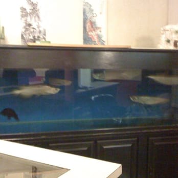 Wing Chong Restaurant - The restaurant has a fish tank! - Chinese Near Me - Chicago, Illinois Wing Chong Restaurant - The restaurant has a fish tank! - Chinese Near Me - Chicago, Illinois