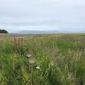 Beluga Slough Trail - Matsh - Hiking Near Me - Homer, Alaska Beluga Slough Trail - Matsh - Hiking Near Me - Homer, Alaska