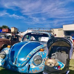 Florida Bug Jam