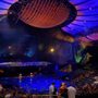Photo of Mystère by Cirque du Soleil