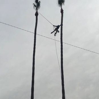 Arrow Green Tree Service - Tree Services Near Me Arrow Green Tree Service - Tree Services Near Me