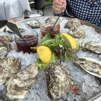 Steinhilber's Restaurant - Seafood Near Me - Virginia Beach, Virginia Steinhilber's Restaurant - Seafood Near Me - Virginia Beach, Virginia