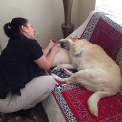 Barkdoll Massage Therapy - Not only does Karla do fabulous massages on us, our FURBABY Sammi will not let her leave before she gets her massage