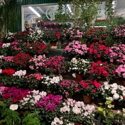 Marché aux Fleurs