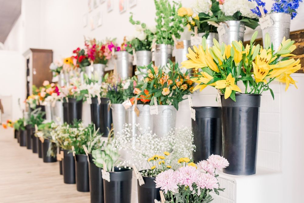 MEG’S FLOWER MARKET Updated October 2024 33 Photos 7845 Nashville