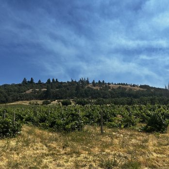Garnier Vineyards - Wineries Near Me - Mosier, Oregon Garnier Vineyards - Wineries Near Me - Mosier, Oregon