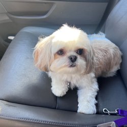 Pretty in Fluff - So fresh and clean!