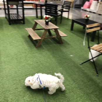 IKEA - Nothing happened lol no worries - Furniture Stores Near Me - Las Vegas, Nevada IKEA - Nothing happened lol no worries - Furniture Stores Near Me - Las Vegas, Nevada