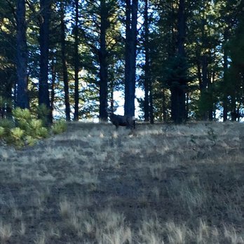 Roadrunner Tours - Tours Near Me - Angel Fire, New Mexico