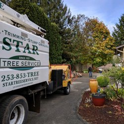 Star Tree Service - Star Tree Service