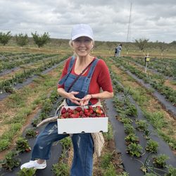 Jenschke Orchards