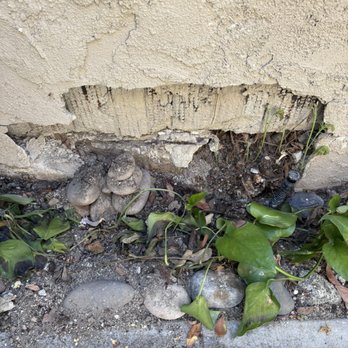 Personalized Property Management - Numerous holes in walls, reported but not fixed (6 years) - Property Management Near Me - Cathedral City, California Personalized Property Management - Numerous holes in walls, reported but not fixed (6 years) - Property Management Near Me - Cathedral City, California
