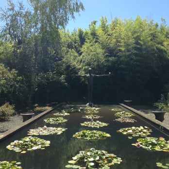 Hughes Water Gardens - Lily pond - Nurseries & Gardening Near Me - Tualatin, Oregon