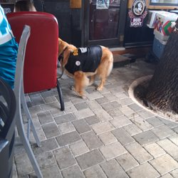 Bring a dog