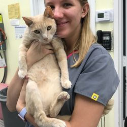 Animal Medical Center of Watkins Park